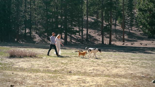 Woodland couple film with their dogs among the trees